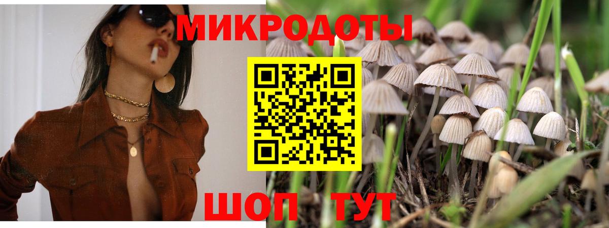 Нижнекамск  Галлюциногенные грибы мухоморы  Вход с VPN 